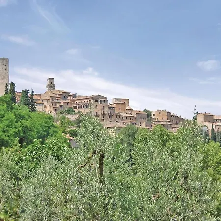 Zafferano 3